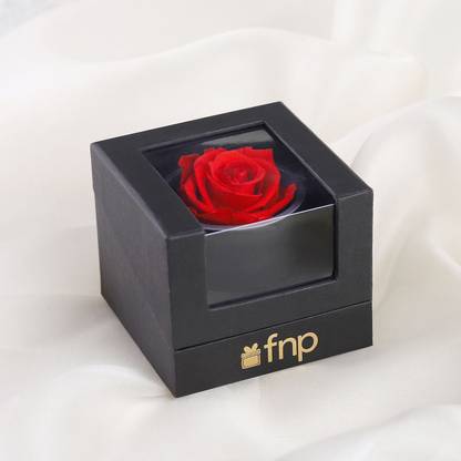 FNP Fresh Red Roses Bouquets