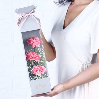 FNP Fresh Pink Carnations Bouquets