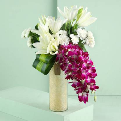 FNP Fresh Multicolor Carnations Bouquets