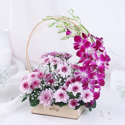 FNP Fresh Purple Orchids, Daisy Bouquets