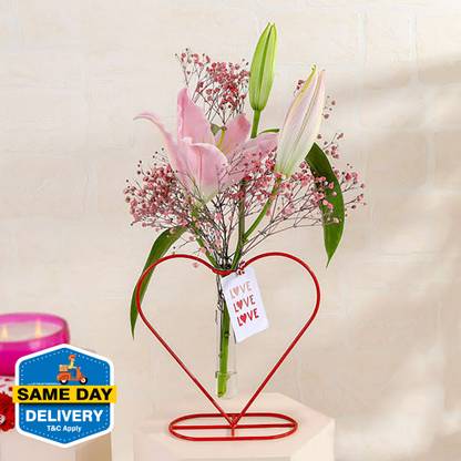 IGP Fresh Multicolor Lilies Bouquets