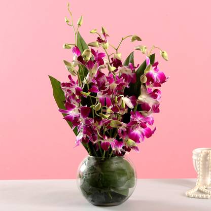 FNP Fresh Purple Orchids Bouquets