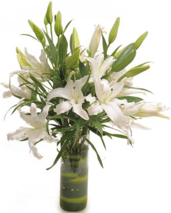 FNP Fresh White Lilies Bouquets