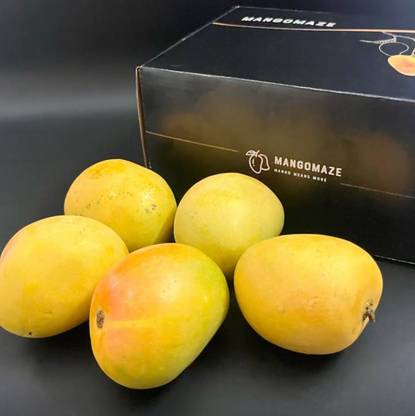 Premium Ratnagiri Alphonso Mango