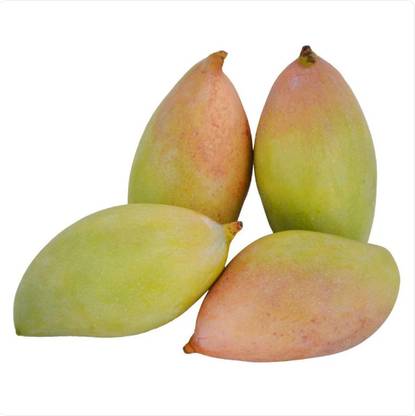 Mango Totapuri