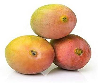Mango Sindhura