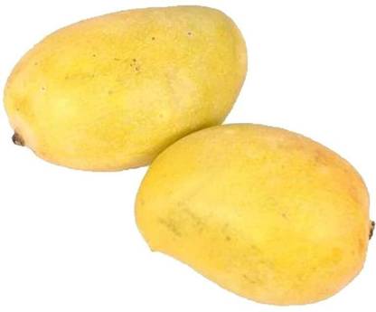 Mango Kesar