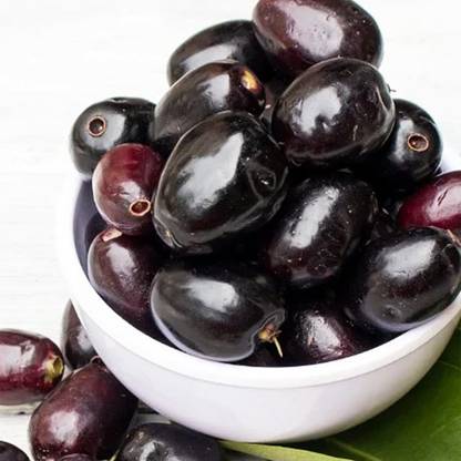 Jamun