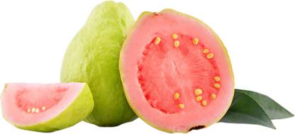 Guava Pink