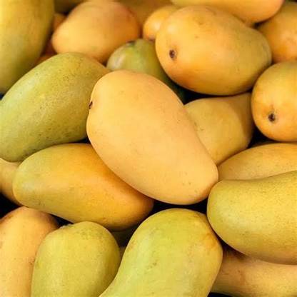 Mango Safeda