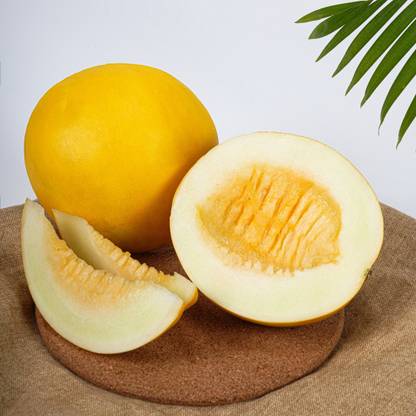 Sun Melon