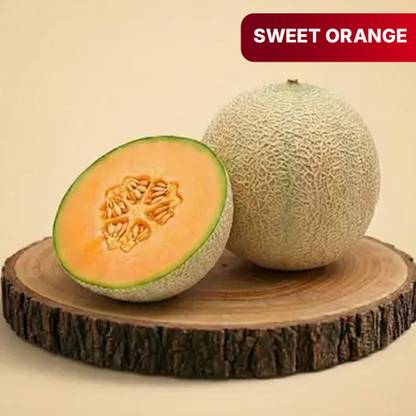 Muskmelon