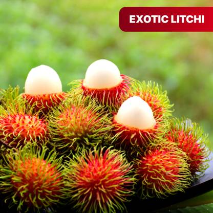 Rambutan