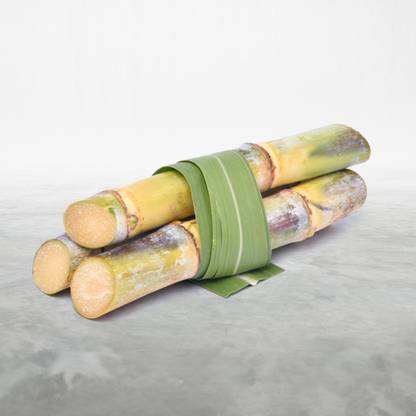 Sugarcane
