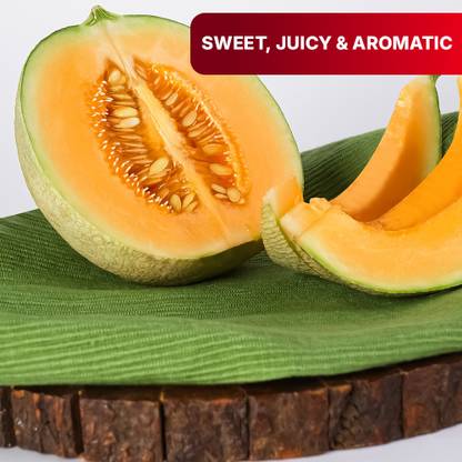 Muskmelon