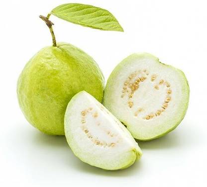 Guava Premium