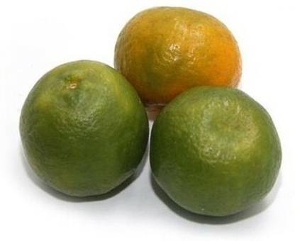 Orange Nagpur Small