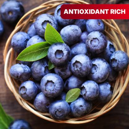 Blueberry Imported
