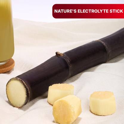 Urban Harvest Sugarcane Stick Cut