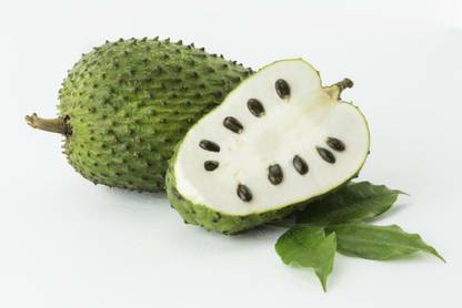 Soursop