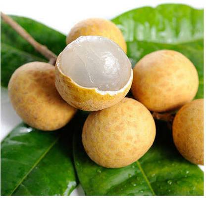 Longan