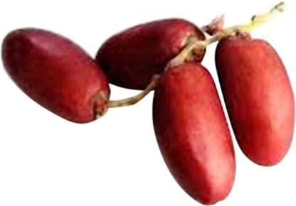 Dates Red