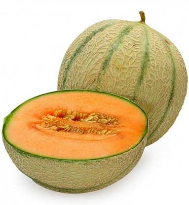 Muskmelon Striped