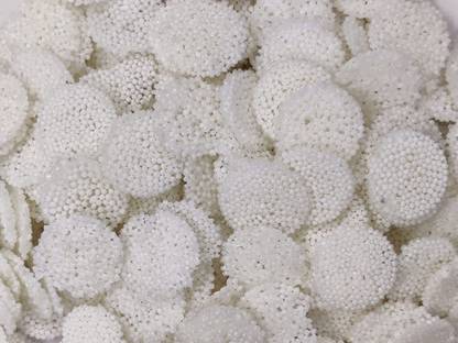 Veganic SabudanaCoinPapad|Vrat/FastSpecialSmallSago Fryums