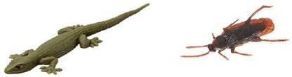 R.s.Magic Tricks (Pack of 2) Fake Lizard and Cockroach Realistic Rubber Novelty Prank Life like Lizard Cockroach Gag Toy