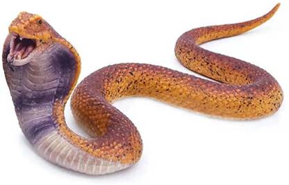 Super Toy Snake Toy Prank Toy Educational Toys NA Gag Toy