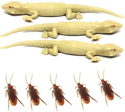 AGC Fake Cockroach and Lizard Fun Prank Toys (Skin) (Pack of 3 Lizard, 5 Cockroach) Stress Relief Toy Gag Toy