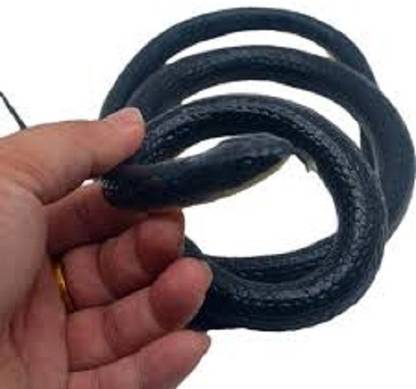 s yuvraj q21 Realistic prank rubber snake prank toy for kids 1pc (black) Gag Toy
