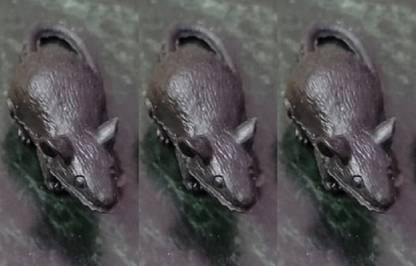 NEXAWAVE Realistic animal 3 Rat for April Fool's Day and Halloween Party fun toy Gag Toy