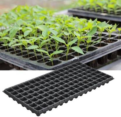 Labdhi NTR104 Garden Gnome