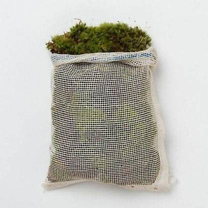 Kabeer enterprises Natural Dried Moss Grass - 500 G Potting Mixture