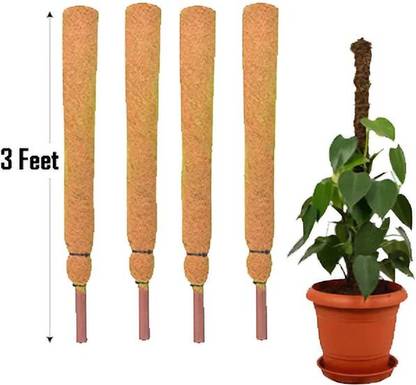 GrowRich Coco Pole Coir Moss Stick 3 Feet Pack of 5 Pieces for Money Plant Support, Garden Mulch