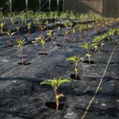 Vallabh Weed Mat (2 Feet) Width 6 Meter Length 110 GSM Mat Garden Garden Mulch