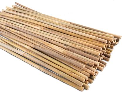Mylife 60 cm Bamboo Garden Stake