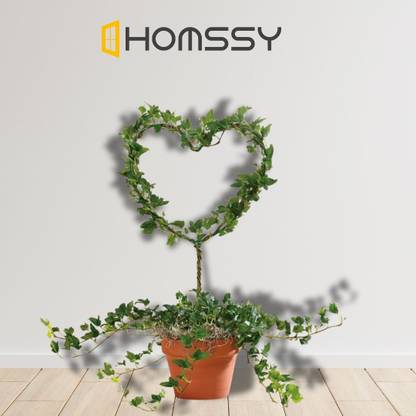 HOMSSY 32 cm Iron Garden Stake