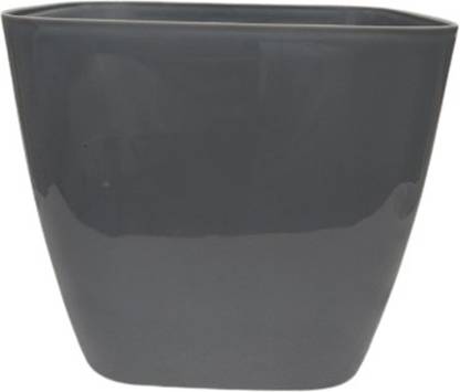 rajesh industries nx 18 cm Plastic Garden Stake