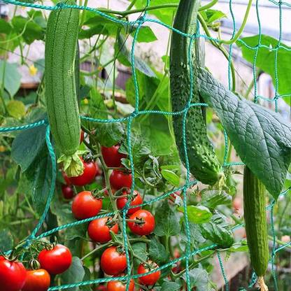 I Geon Plant Support net for Agriculture and Gardening 10Ft.x100Ft. Garden Tool Kit