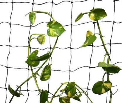 grenfel Plant Climbing Net Creeper Support 15Ft x 6Ft Gardening Netting Blue Colour Garden Tool Kit