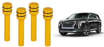 RS ENTERPRISES CARS Aluminium Car Radio Knob