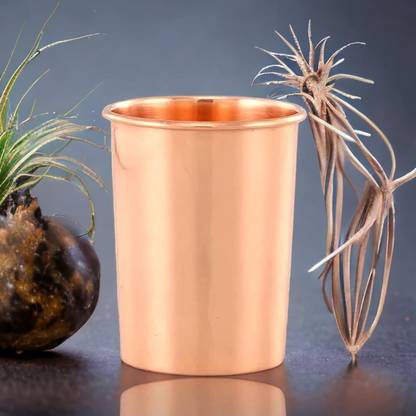 BRIJAZA Antique Copper| Tamba Glass 250ML with More Health Benefits Glass Water/Juice Glass