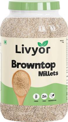 LIVYOR Browntop Millets Unpolished | Protein & Fiber Rich Superfood Browntop Millet