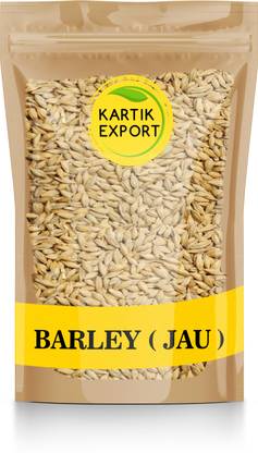 Kartik Export Raw Barley Seeds (Jau) Barley Grain Barley