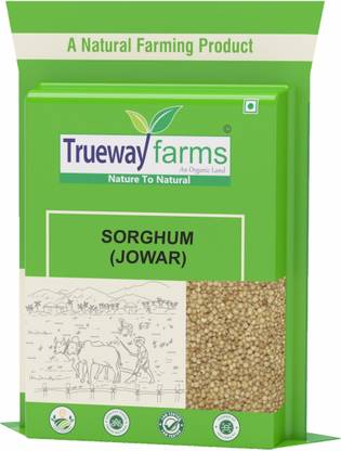 Trueway farms SORGHUM Sorghum