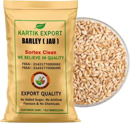 Kartik Export Raw Barley Seeds (Jau) Barley