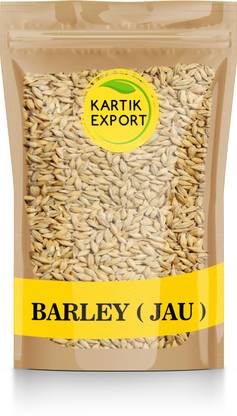 Kartik Export Raw Barley Seeds (Jau) Barley