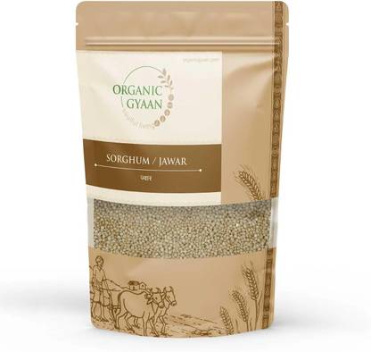 ORGANIC GYAAN Organic Sorghum / Jowar